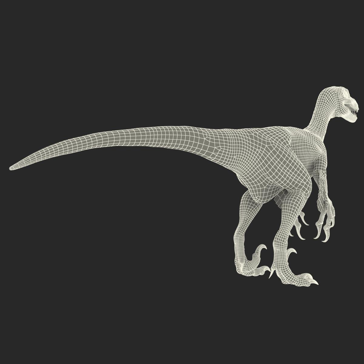 3d dromaeosaurus model