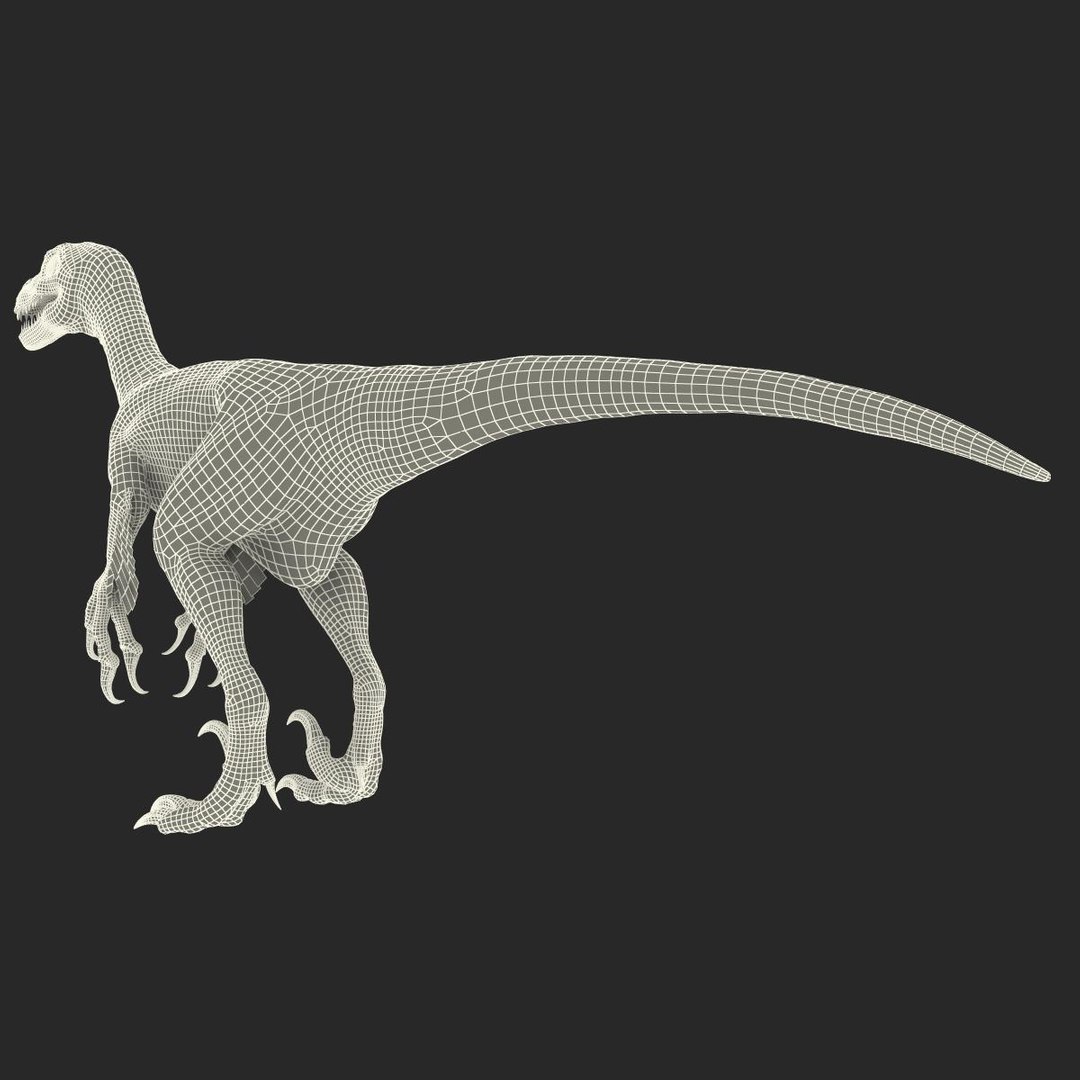 3d dromaeosaurus model