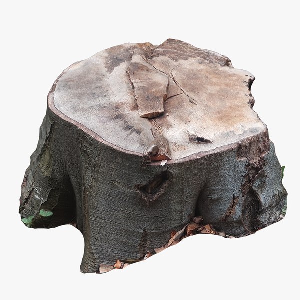 Tree Stump 31 3D model