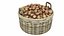 Nuts Collection
