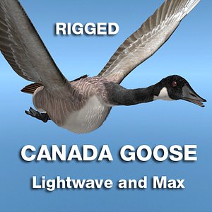 max canada goose rigged lightwave