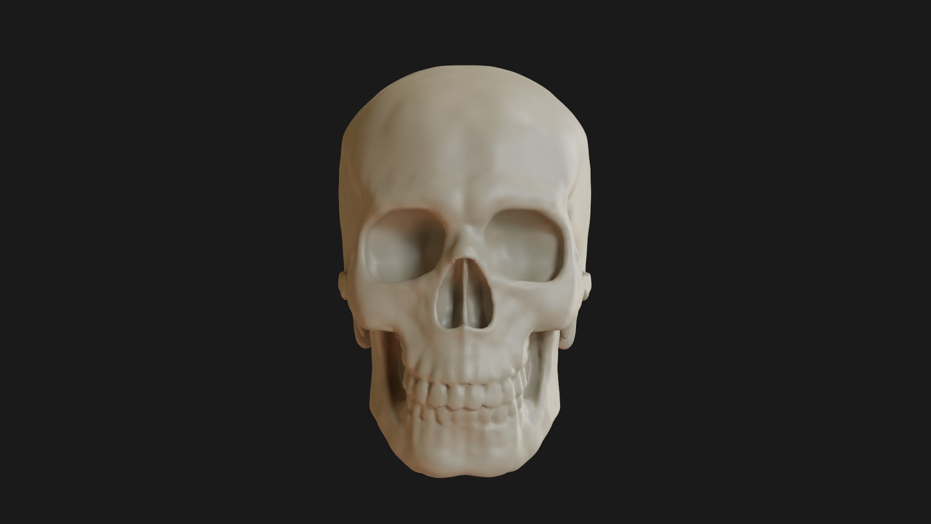 3D Male human skull https://p.turbosquid.com/ts-thumb/42/m8gkVU/13/skull_0001/png/1719212975/1920x1080/fit_q87/e4bc7798badd9f7a5e59b7d9db784745db76eb91/skull_0001.jpg