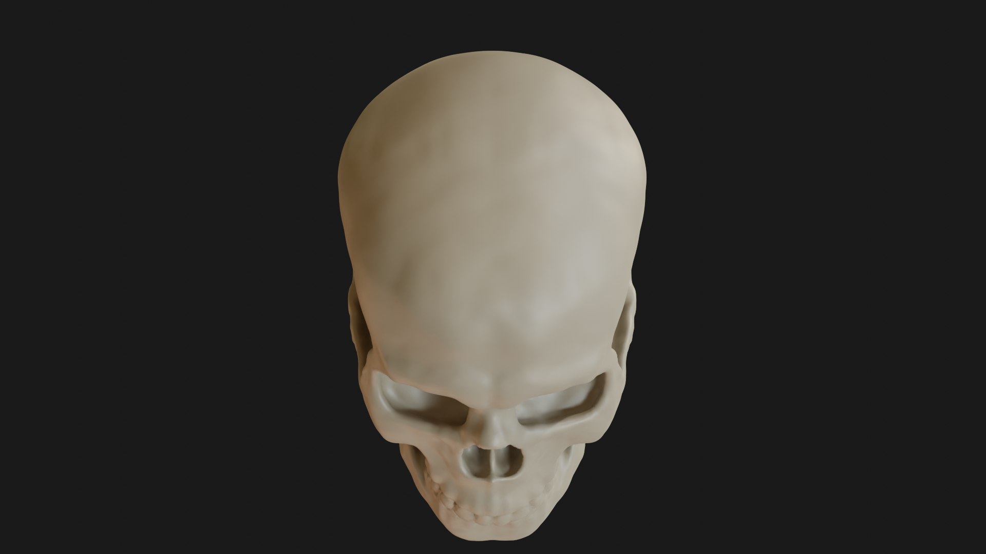 3D Male human skull https://p.turbosquid.com/ts-thumb/42/m8gkVU/6C/skull_0011/png/1719213008/1920x1080/fit_q87/e31922d087ab2a2b2c9c511a140d2926527ec064/skull_0011.jpg