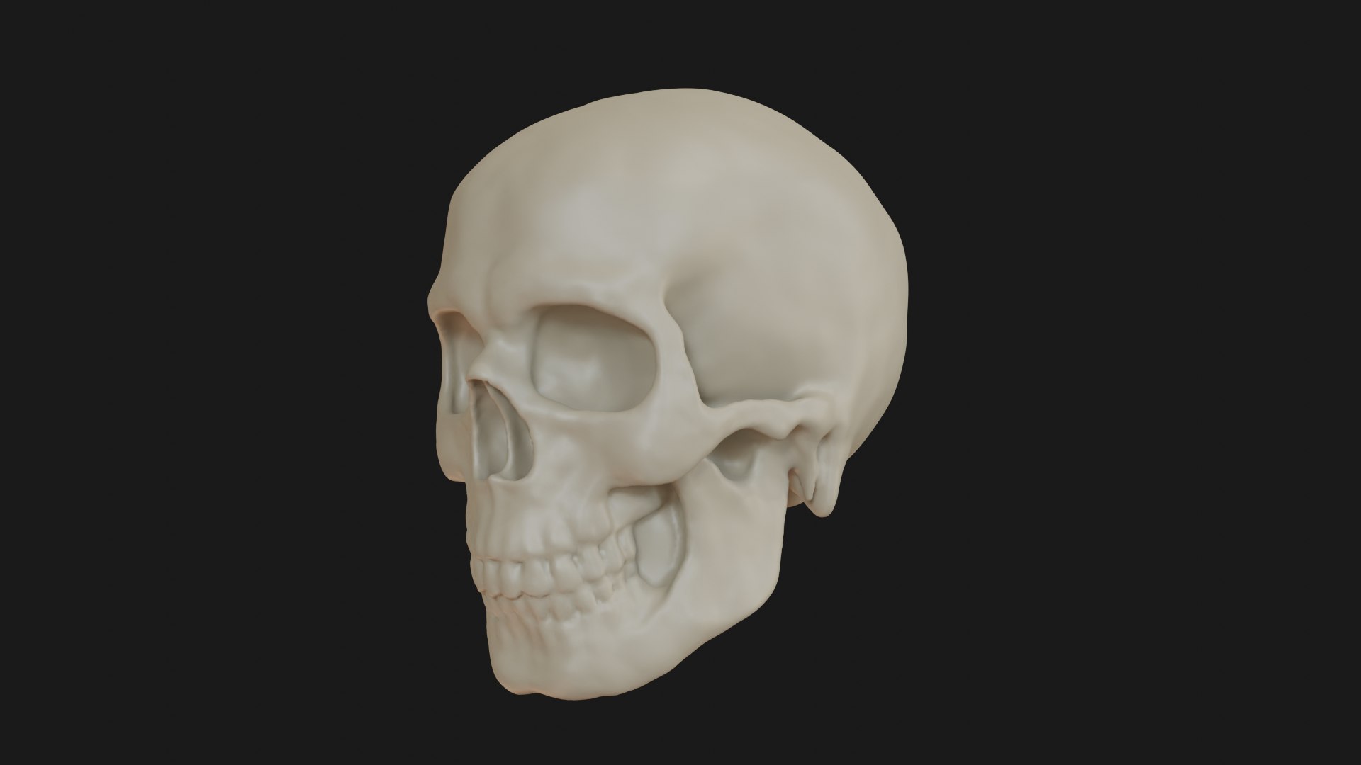 3D Male human skull https://p.turbosquid.com/ts-thumb/42/m8gkVU/CY/skull_0004/png/1719212985/1920x1080/fit_q87/9719f7691804487e20b5353fb7b3ebe508a83d3a/skull_0004.jpg