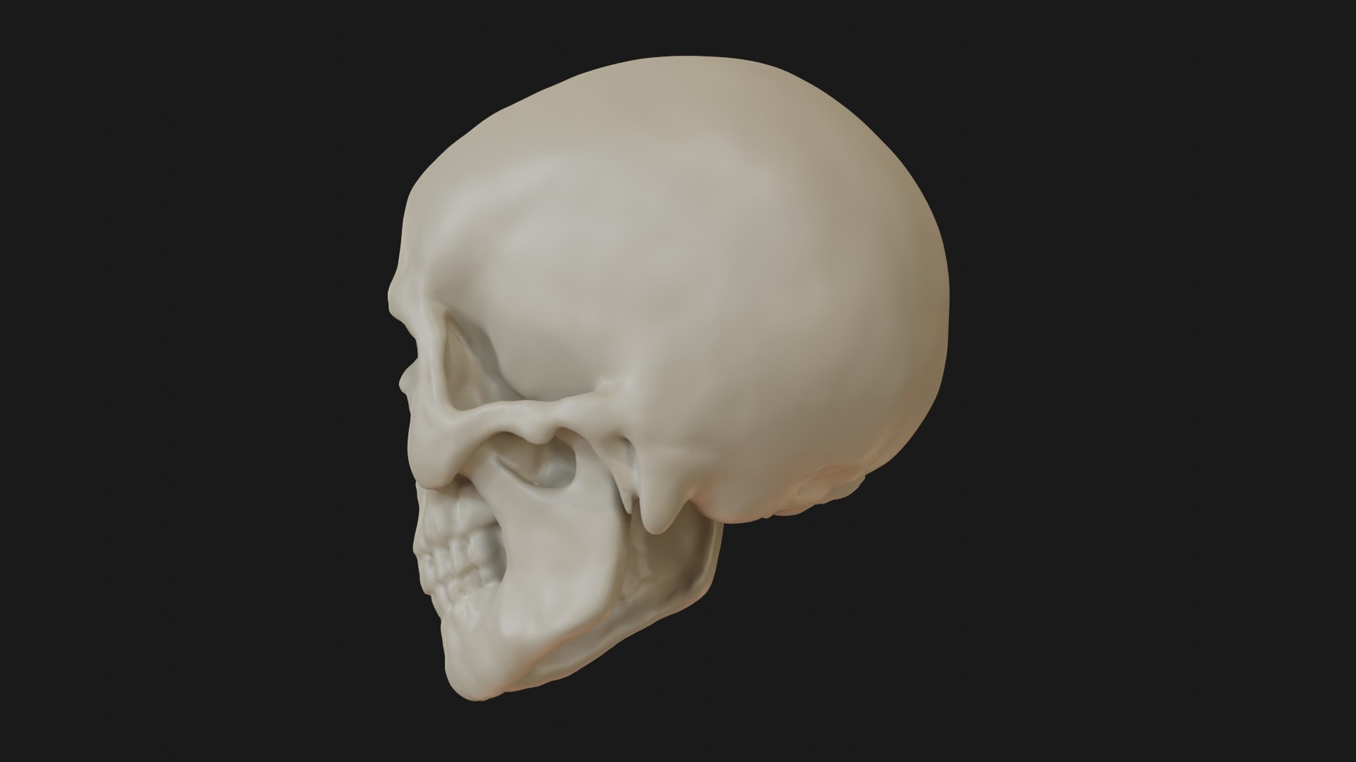 3D Male human skull https://p.turbosquid.com/ts-thumb/42/m8gkVU/OU/skull_0008/png/1719212999/1920x1080/fit_q87/7689cefb0435d740c136276c1f5591d038c207e7/skull_0008.jpg