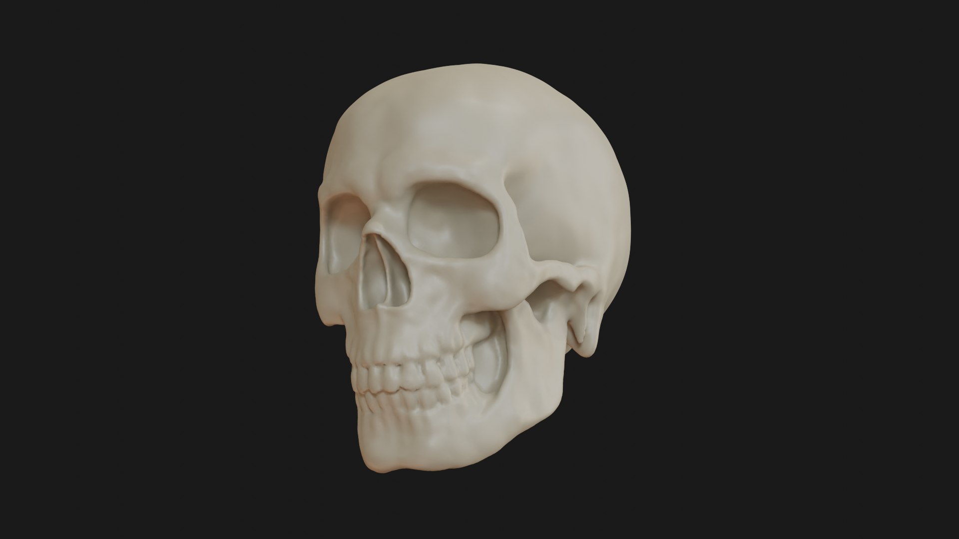 3D Male human skull https://p.turbosquid.com/ts-thumb/42/m8gkVU/Pn/skull_0015/png/1719213019/1920x1080/fit_q87/292f93d7050e03813ec5e5cd9b7eb642f128d2f7/skull_0015.jpg