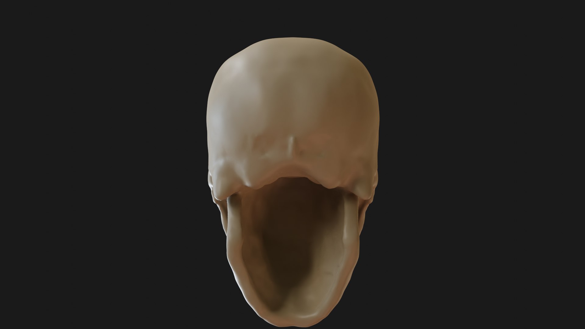 3D Male human skull https://p.turbosquid.com/ts-thumb/42/m8gkVU/b8/skull_0013/png/1719213013/1920x1080/fit_q87/bcbe95df39845258ea7949f608610bb43ac41fd6/skull_0013.jpg
