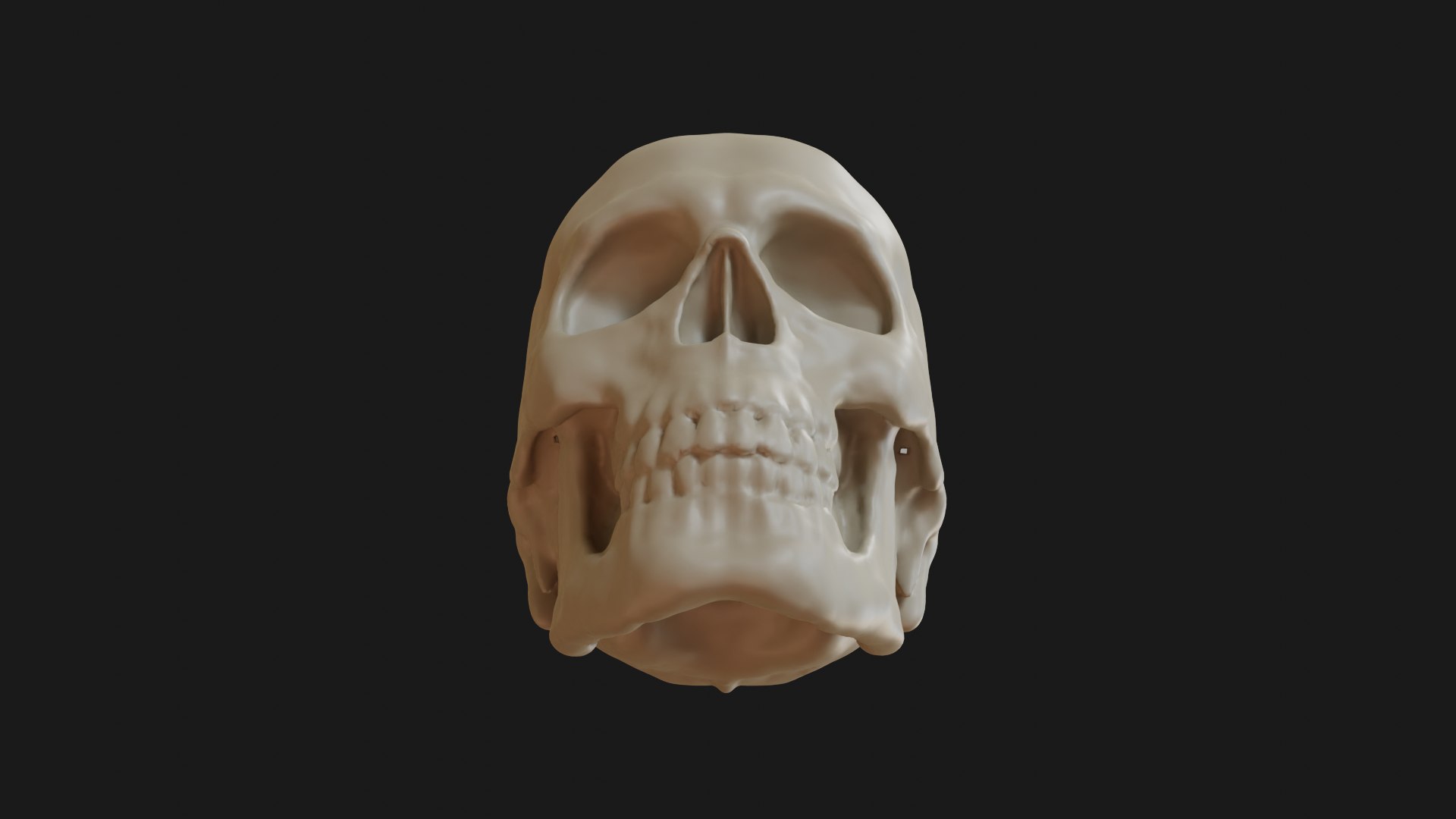 3D Male human skull https://p.turbosquid.com/ts-thumb/42/m8gkVU/fF/skull_0012/png/1719213011/1920x1080/fit_q87/d334e5f9707bd4fc58da5159cc7fcbab5f52b0b2/skull_0012.jpg