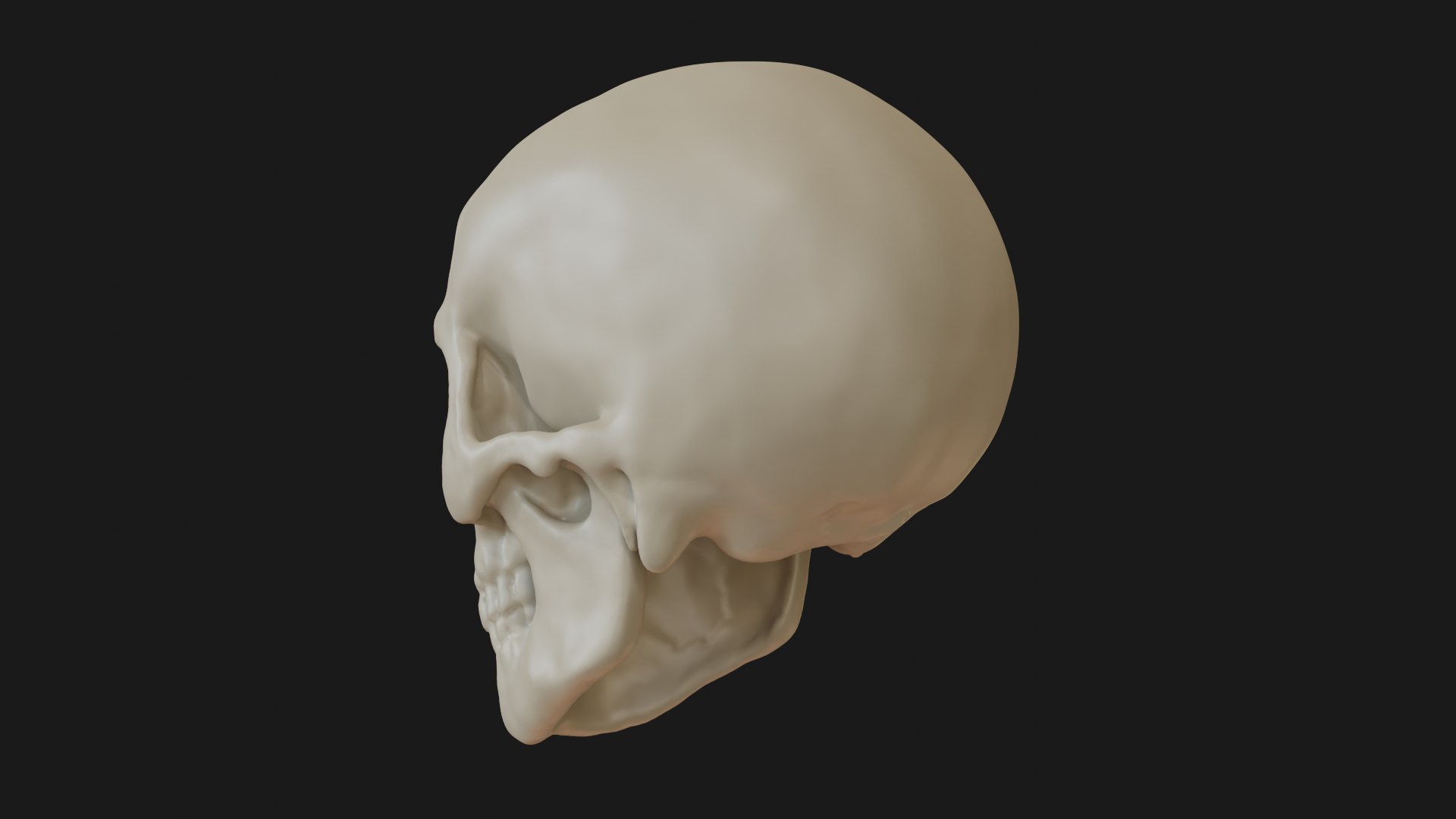 3D Male human skull https://p.turbosquid.com/ts-thumb/42/m8gkVU/nk/skull_0009/png/1719213000/1920x1080/fit_q87/a74f4dd6e0f9469053f90315c5e7c16e9b98171e/skull_0009.jpg