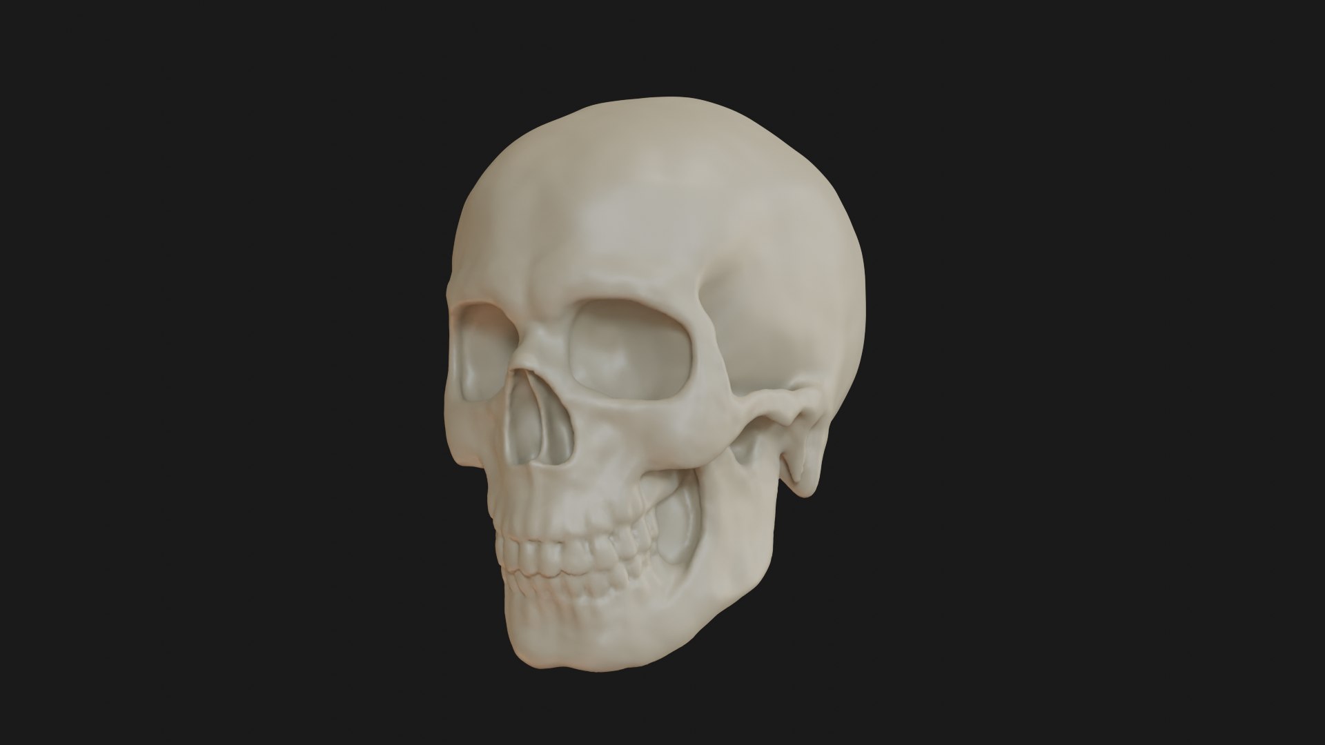 3D Male human skull https://p.turbosquid.com/ts-thumb/42/m8gkVU/pP/skull_0003/png/1719212981/1920x1080/fit_q87/1d2c2a1e71c0290fbf3e92608abffc5db8ba2b93/skull_0003.jpg