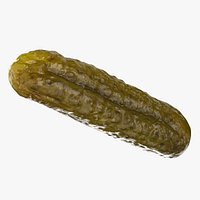 Pickled Cucumber 02
