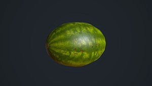 3D watermelon melon model