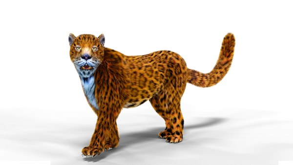 リアルな毛皮のヒョウが装備3dモデル Turbosquid