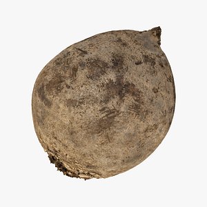 beet root 01 raw 3D