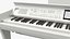 White Professional Digital Piano
