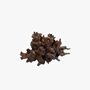 3D Anydrafts Sea snail 03