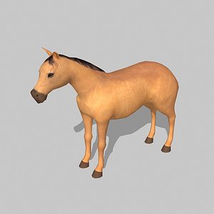 horse