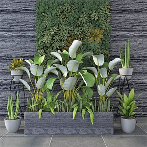 3D Home Potted Plant Collection