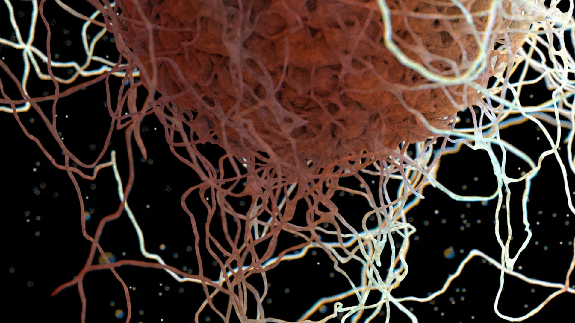 3d smooth cell macrophage https://p.turbosquid.com/ts-thumb/44/N1Zety/7a6kyZ3F/immune003/jpg/1460365708/1920x1080/fit_q87/4550abdbe01a3f60d6f5dcc78f99e6cead423ae5/immune003.jpg