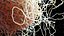 Immune Cell Macrophage Smooth