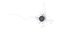 Immune Cell Macrophage Smooth
