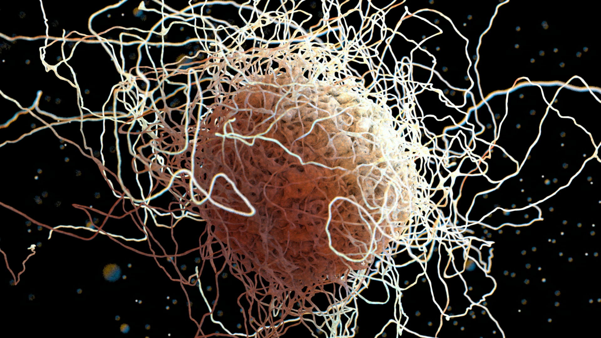 3d smooth cell macrophage https://p.turbosquid.com/ts-thumb/44/N1Zety/l9WiVu69/immuneturn01/jpg/1460365741/1920x1080/turn_fit_q99/784e00be72d69f7887ec367c235a4726ee36338f/immuneturn01-1.jpg