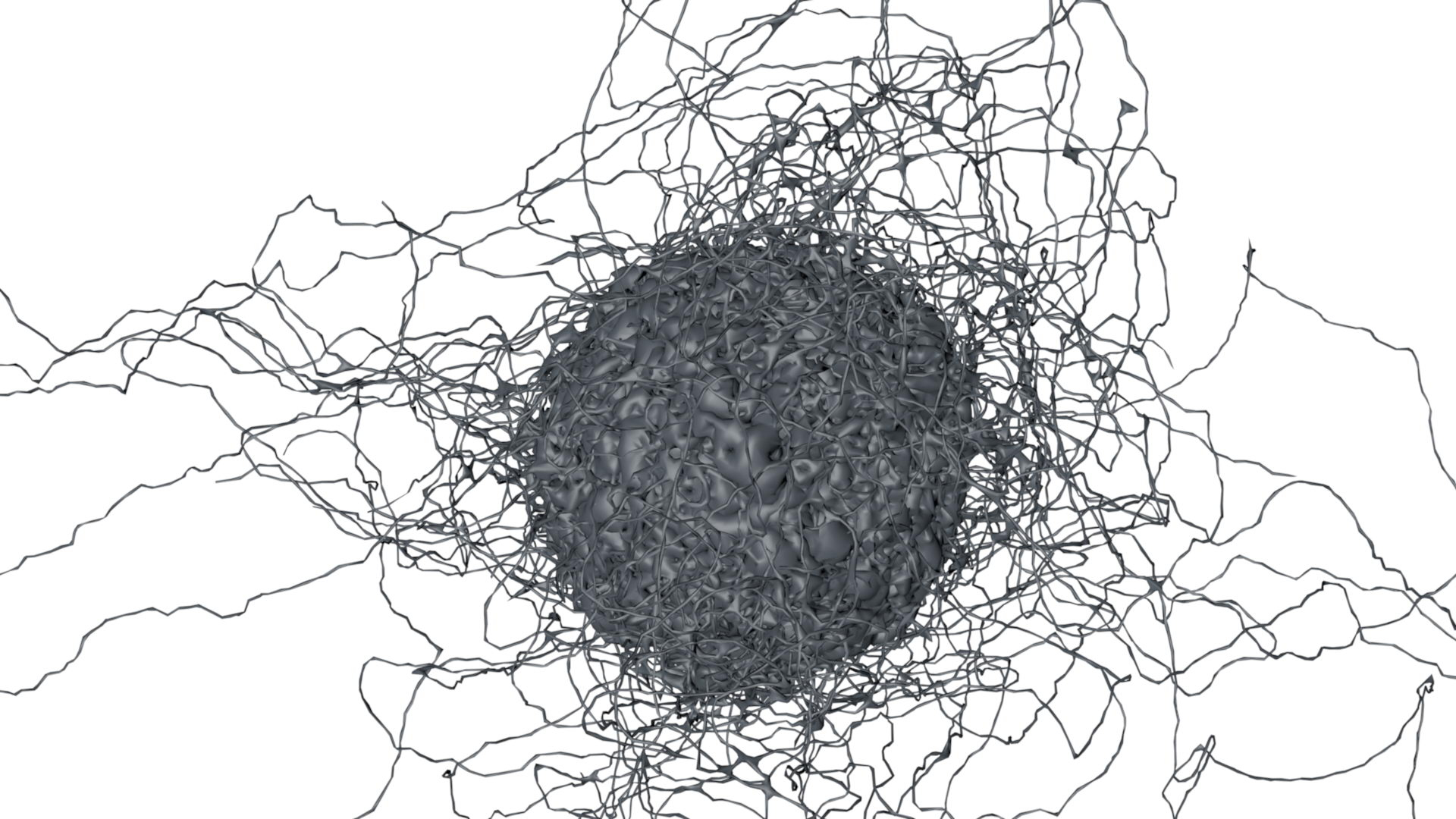 3d smooth cell macrophage https://p.turbosquid.com/ts-thumb/44/N1Zety/xgCetvXT/immunemesh03/jpg/1460365777/1920x1080/turn_fit_q99/2ad3acbab7487a7d114601a42cfd40c32bda58fc/immunemesh03-1.jpg
