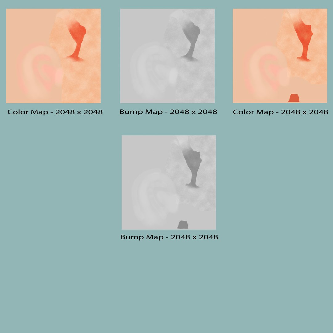 3d Ear Anatomy