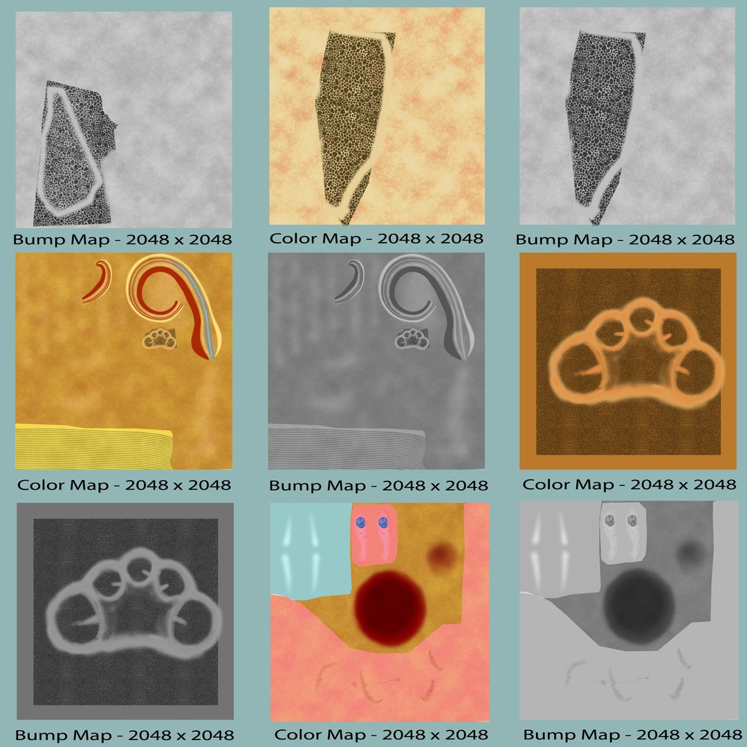 3d Ear Anatomy