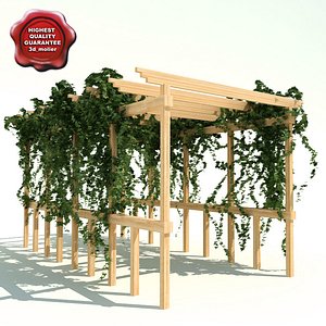 pergola path ivy 3d model