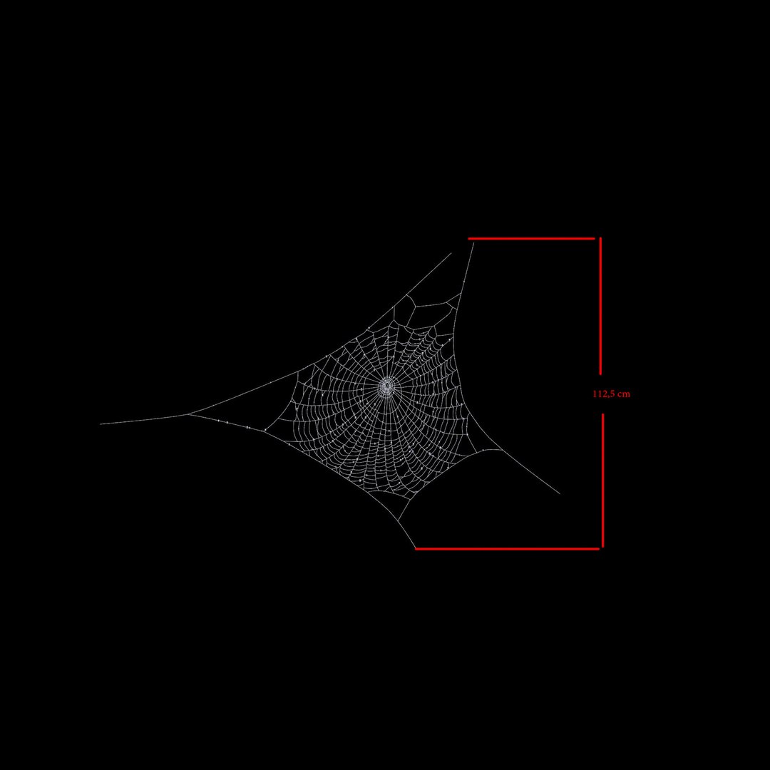 spiderweb 3d model https://p.turbosquid.com/ts-thumb/44/eNJuPZ/lpgRwXtP/spiderweb_02/jpg/1388348220/1920x1080/fit_q87/a502ecdb846c31ebcd2bcaffc4b249058586a0b2/spiderweb_02.jpg
