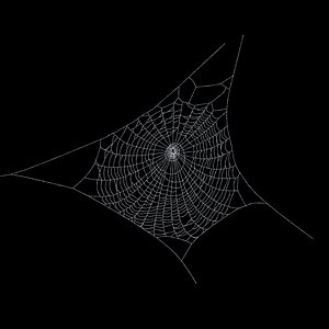 spiderweb 3d model