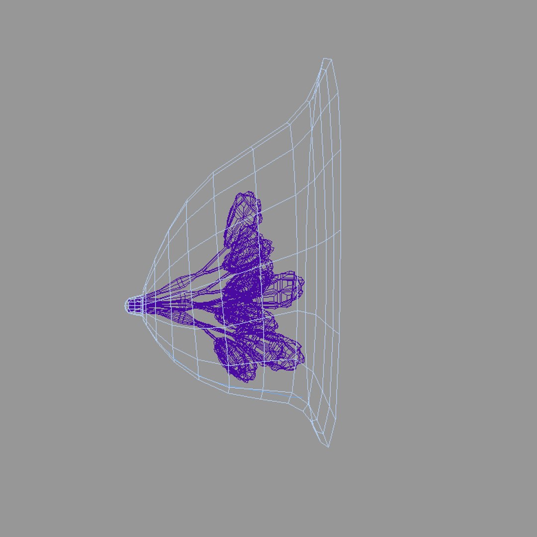 breast section anatomy 3d model https://p.turbosquid.com/ts-thumb/44/wXJonZ/5q638ZtO/b_wire1/jpg/1413171057/1920x1080/fit_q87/f8b35a0ee59d23d608f584c6536fc113a0ee9b46/b_wire1.jpg