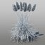3D pampas grass cortaderia selloana