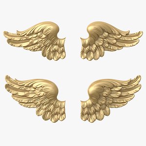 Wings Pair 3D model