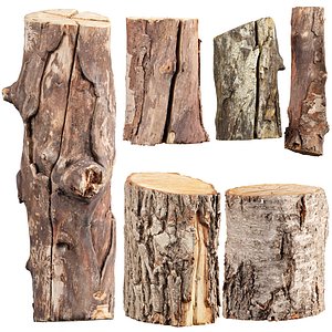 3D 3D Scanned Logs Collection Vol 04 model