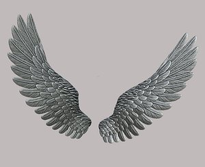 wings