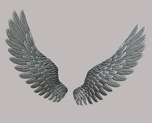wings
