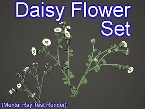 3ds max set daisy flowers