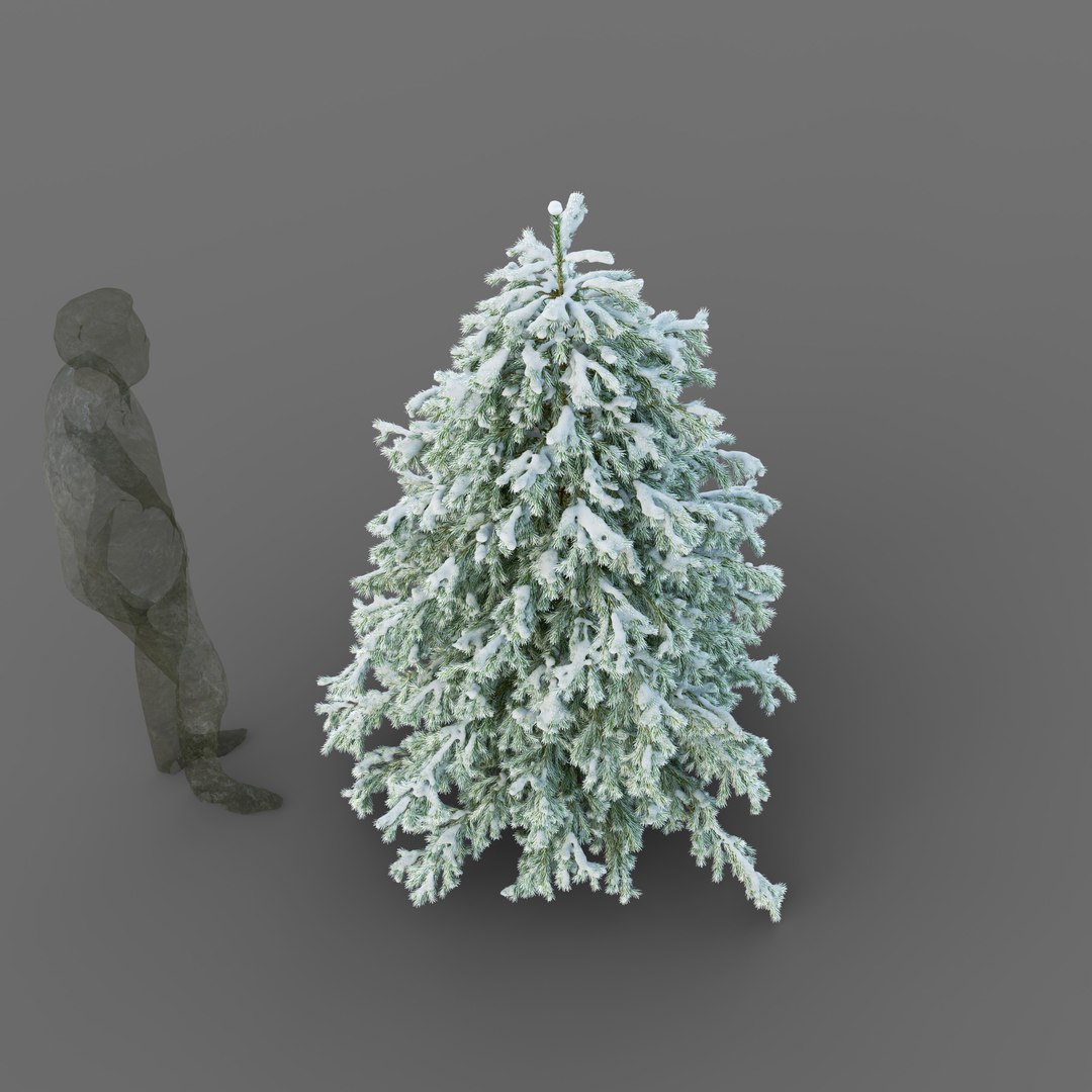 3D model young spruce tree seasons - TurboSquid 1642826