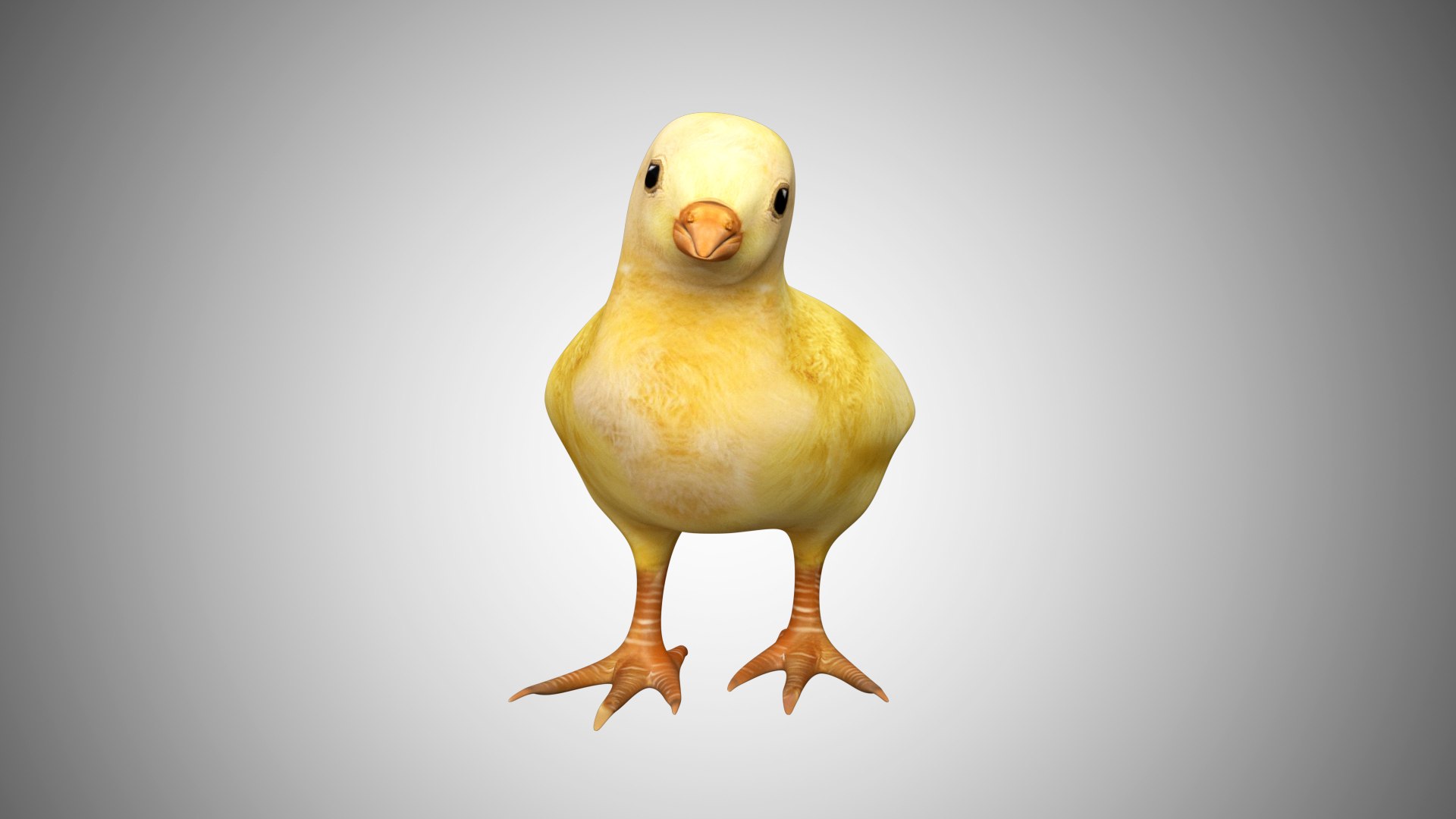 rigged 3D https://p.turbosquid.com/ts-thumb/45/wmOsOH/DU3KVvjc/chick00/jpg/1597355214/1920x1080/fit_q87/6883f3d52acc30bd5740830b4a007a97303bf281/chick00.jpg