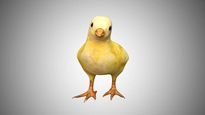 Chick Rigged low poly