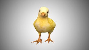 Chick Rigged low poly
