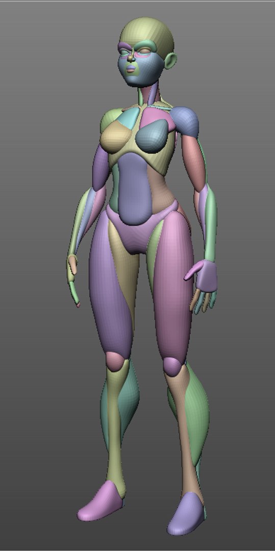 Female Anatomy Blockout 3D Model - TurboSquid 1693537