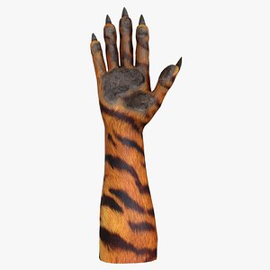 3D HND-024 Rigged tiger hand