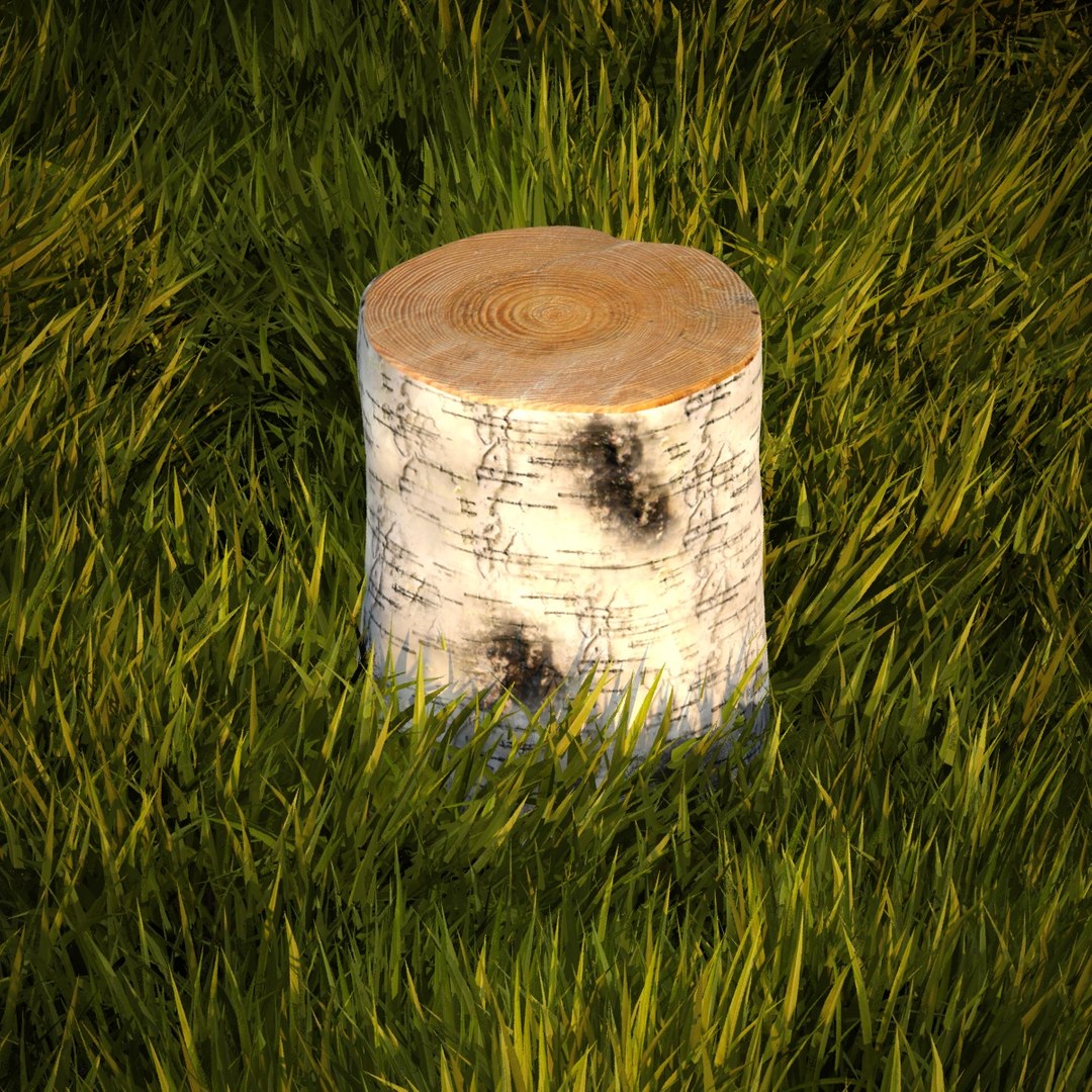 3d Birch Stump Model