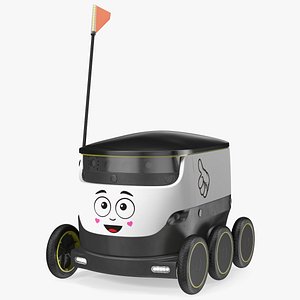 Self-Driving Robot Delivery Face Rigged