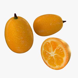 fruits 3D model