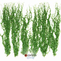 6 models of curly leaf wall