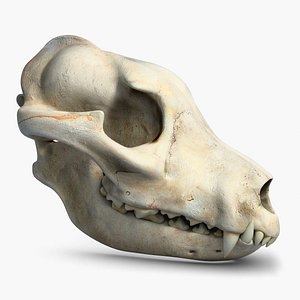 dog skull 2 3ds